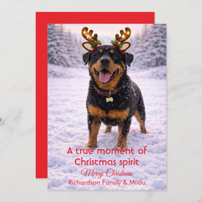 Cartão De Festividades Cute Dog Christmas Sweet Quote | Holiday Card (Frente/Verso)