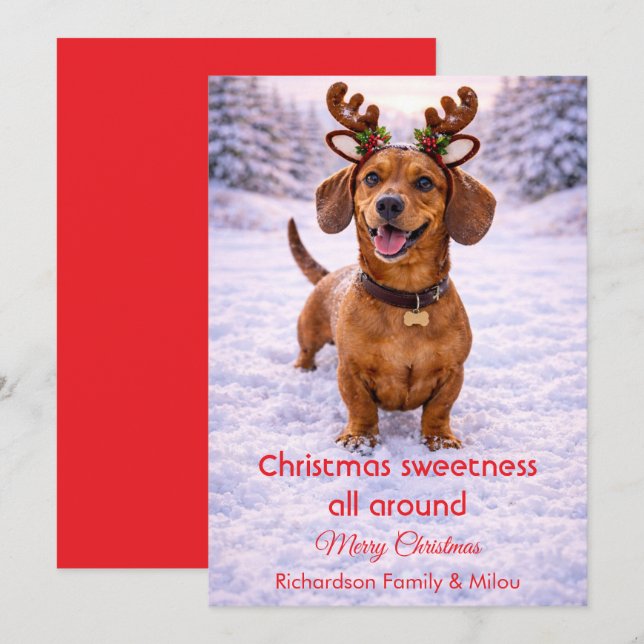 Cartão De Festividades Cute Dog Christmas Sweet Quote | Holiday Card (Frente/Verso)