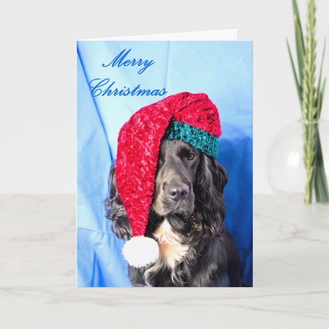 Cartão De Festividades Cute Dog Merry Christmas Card (Frente)