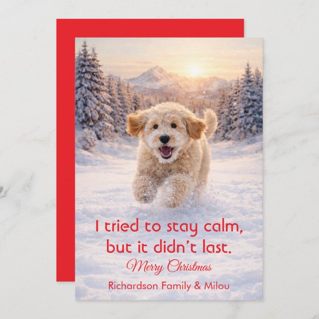 Cartão De Festividades Cute Dog with Christmas Funny Quote | Holiday Card (Frente/Verso)