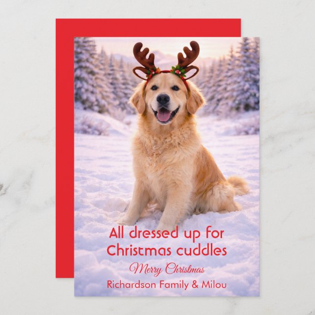 Cartão De Festividades Cute Dog with Christmas Funny Quote | Holiday Card (Frente/Verso)
