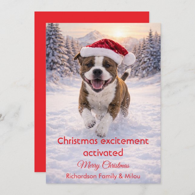 Cartão De Festividades Cute Dog with Christmas Funny Quote | Holiday Card (Frente/Verso)