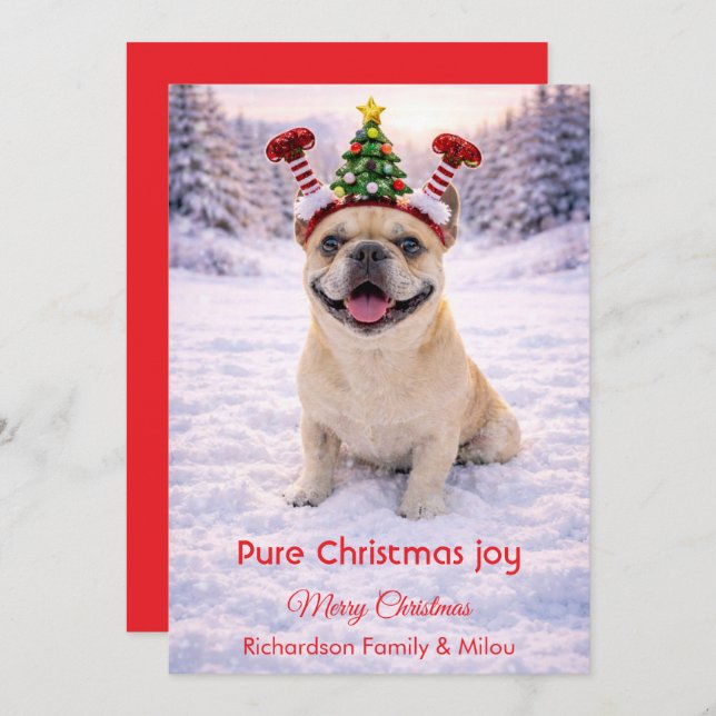 Cartão De Festividades Cute Dog with Christmas Tender Quote  Holiday Card (Frente/Verso)