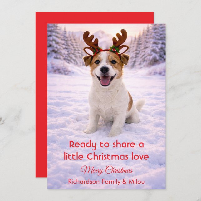 Cartão De Festividades Cute Dog with Christmas Tender Quote  Holiday Card (Frente/Verso)