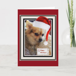 Cartão De Festividades Cute Doggie Holiday Card
