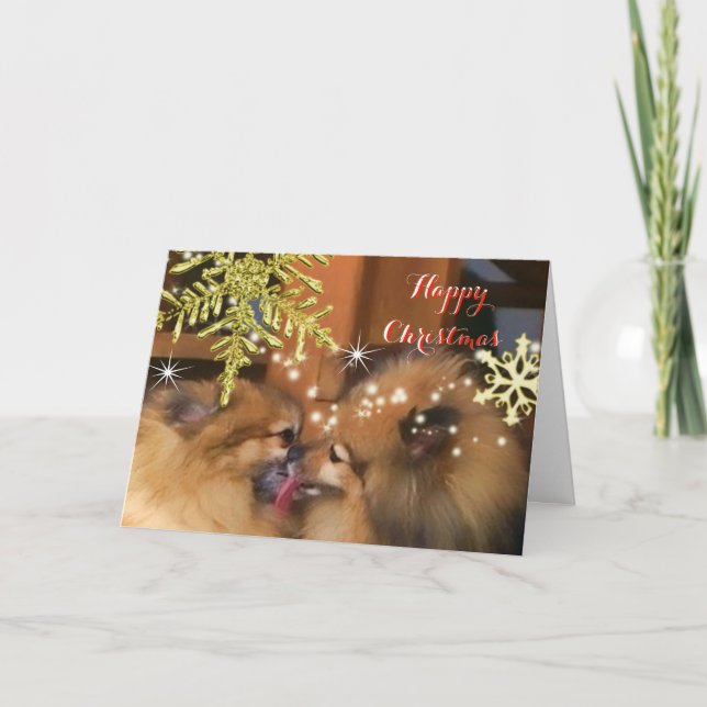 Cartão De Festividades Cute Dogs Christmas Kiss Snowflake Picture (Frente)