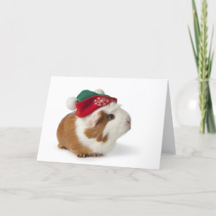 Cartão De Festividades Cute Guinea Pig With Christmas Hat On White