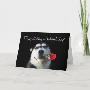 Cartão De Festividades Cute Husky Dog Happy Birthday on Valentine's Day