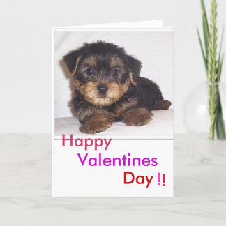 Cartão De Festividades cute lil puppy, Valentines, Day, Happy, !, !