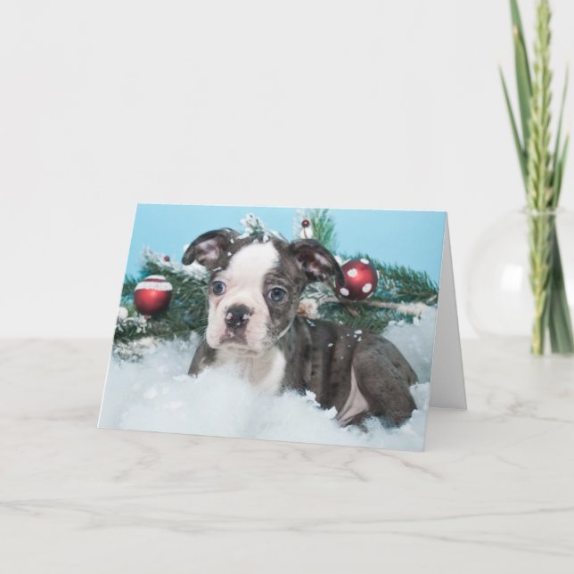 Cartão De Festividades Cute Little Puppy Laying In The Snow (Frente)