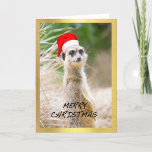Cartão De Festividades "Cute Meerkat" design Christmas card
