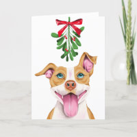 Cute Pitbull Dog Under the Mistletoe Christmas