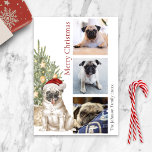 Cartão De Festividades Cute Pug and Christmas Tree Pet Dog Photo<br><div class="desc">This cute Pug themed Christmas card features a pug wearing a Santa hat sitting in front of a lit Christmas tree.  The greeting on the card reads "Merry Christmas" and can be personalized.  Further personalize this holiday card with three photos of your pet dog,  a signature and the year.</div>