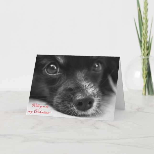 Cartão De Festividades Cute Puppy Face "Will You Be My Valentine" Card (Frente)