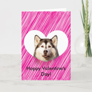 Cartão De Festividades Cute Siberian Husky Heart Valentine's Day Card