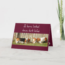 Cartão De Festividades Cute Valentine's Day Card w/Searching Basset Hound