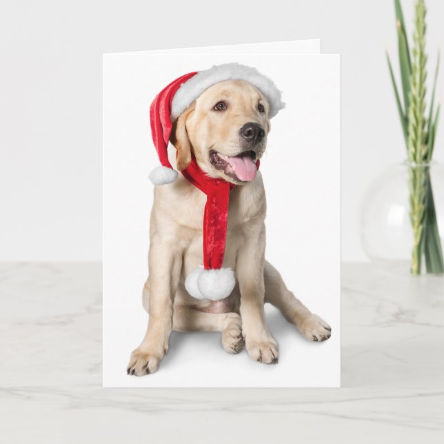 Cartão De Festividades Cute Yellow Lab with Santa Hat Labby Holidays! (Frente)
