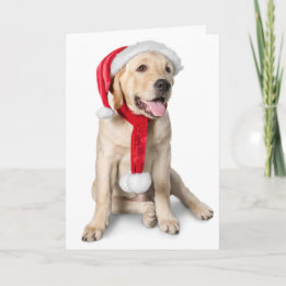 Cartão De Festividades Cute Yellow Lab with Santa Hat Labby Holidays!