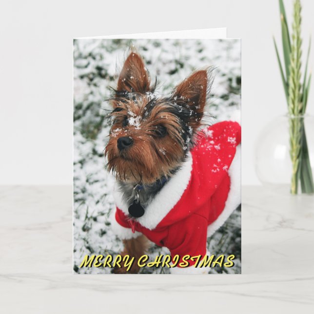 Cartão De Festividades Cute Yorkie Christmas Card (Frente)