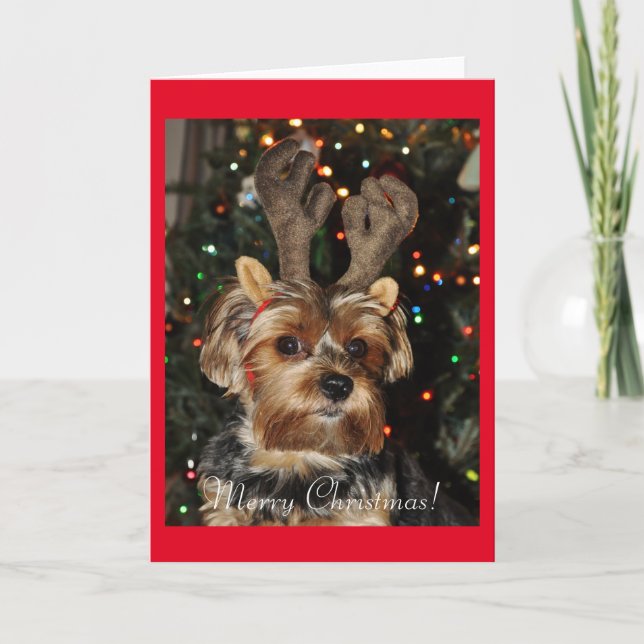 Cartão De Festividades Cute Yorkshire Terrier com Reindeer Antlers (Frente)