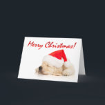 Cartão De Festividades Cutie Pie! Cute Santa Puppy Merry Christmas<br><div class="desc">If you're a dog lover,  you'll adore this cutie pie Santa puppy on a Christmas holiday card. Pesonalize this attractive card with your own text using the "CUSTOMIZE IT" button above. For questions or help,  contact me at cheryl@cheryldanielsart.com.</div>