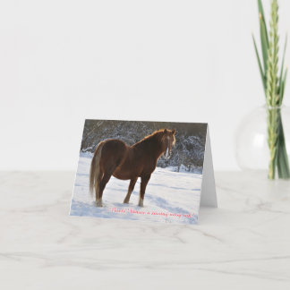 Cartão De Festividades Czech, Horse in the snow christmas card