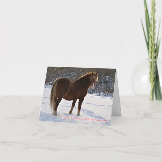 Cartão De Festividades Czech, Horse in the snow christmas card (Frente)