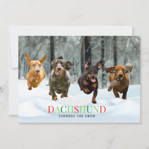 Cartão De Festividades Dachshund Através da Neve 4 Cães Correndo Engraçad