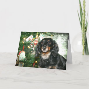 Cartão De Festividades Dachshund Christmas