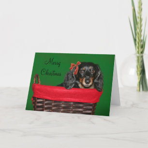 Cartão De Festividades Dachshund Christmas