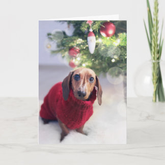 Cartão De Festividades Dachshund Christmas Card