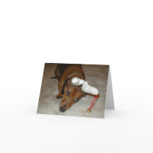 Dachshund Christmas Card - Reluctant Reindeer