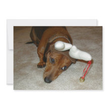 Dachshund Christmas Card - Reluctant Reindeer
