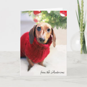 Cartão De Festividades Dachshund Christmas Tree Dog Sweater Customize