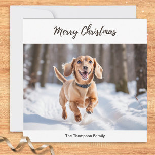 Cartão De Festividades Dachshund Creme na Neve Imagem de Cachorro Chic Fo