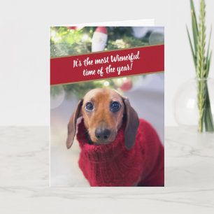 Cartão De Festividades Dachshund Engraçado É a Hora Mais Salsicha do Ano