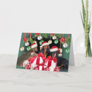 Cartão De Festividades Dachshund Jingle Bells Cards