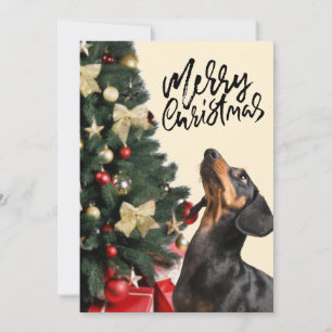 Cartão De Festividades Dachshund preto olhando para cima Árvore de Natal