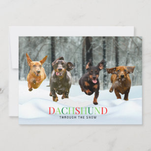 Cartão De Festividades Dachshund Through the Snow 4 correndo Cães Engraça