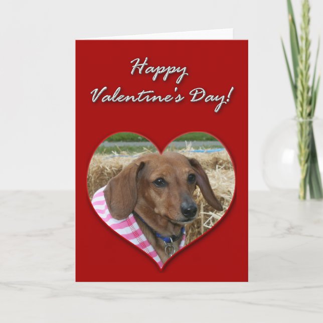 Cartão De Festividades Dachshund Valentines Day Card (Frente)