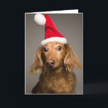 Cartão De Festividades Dachshund Wearing Christmas Santa Hat<br><div class="desc">Dachshund Wearing Christmas Santa Hat</div>
