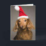Cartão De Festividades Dachshund Wearing Christmas Santa Hat<br><div class="desc">Dachshund Wearing Christmas Santa Hat</div>
