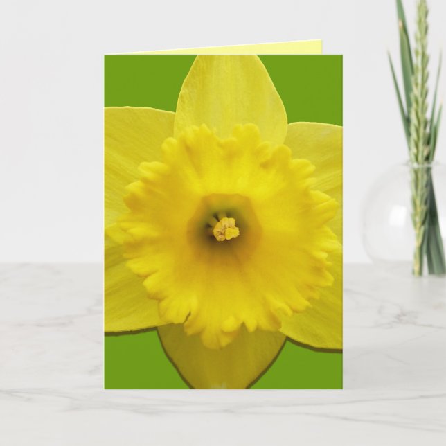 Cartão De Festividades Daffodil Cards Personalized Daffodil Flower Cards (Frente)