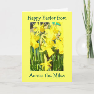 Cartão De Festividades Daffodils Na Páscoa De Milhas
