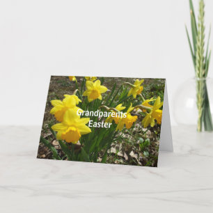 Cartão De Festividades Daffodils para a Saudação Páscoa dos Avós