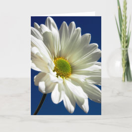 Cartão De Festividades Daisy Greeting Card