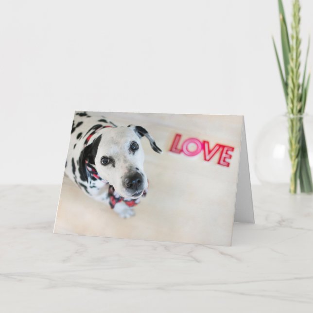 Cartão De Festividades Dalmatian Love Valentines Card (Frente)
