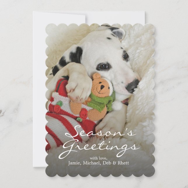 Cartão De Festividades Dalmation puppy with Christmas Stocking (Frente)
