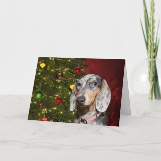 Cartão De Festividades Dappled Dachshund Christmas (Frente)