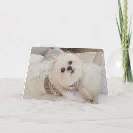 Cartão De Festividades Darling Ava White Shih Tzu puppy Christmas card